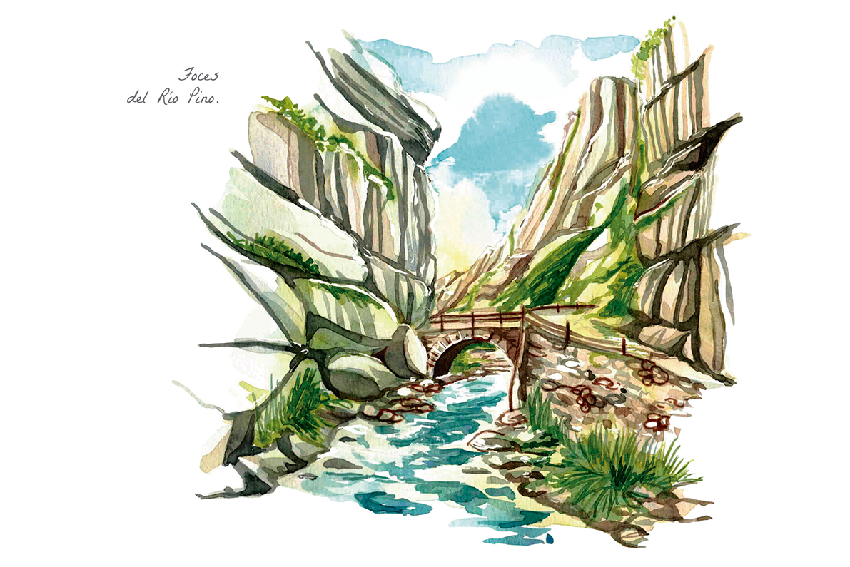 Watercolour