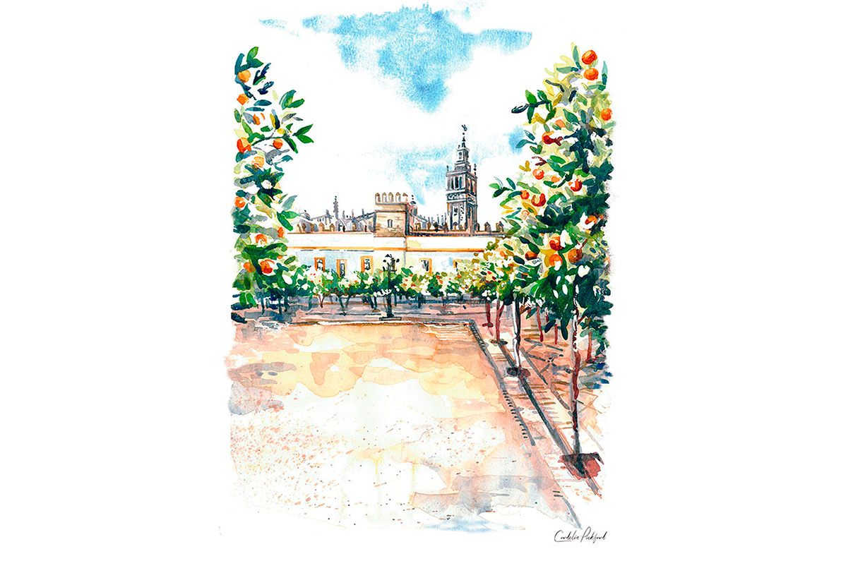 Watercolour